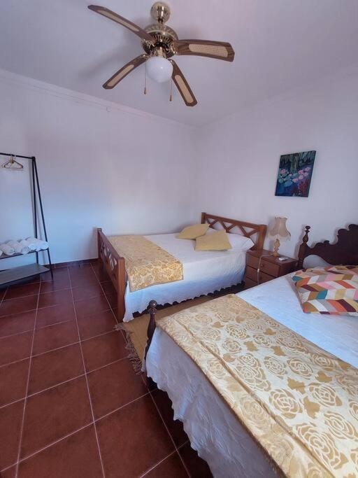 Casa Amarela - Praias Alqueva Povoa de Sao Miguel Dış mekan fotoğraf